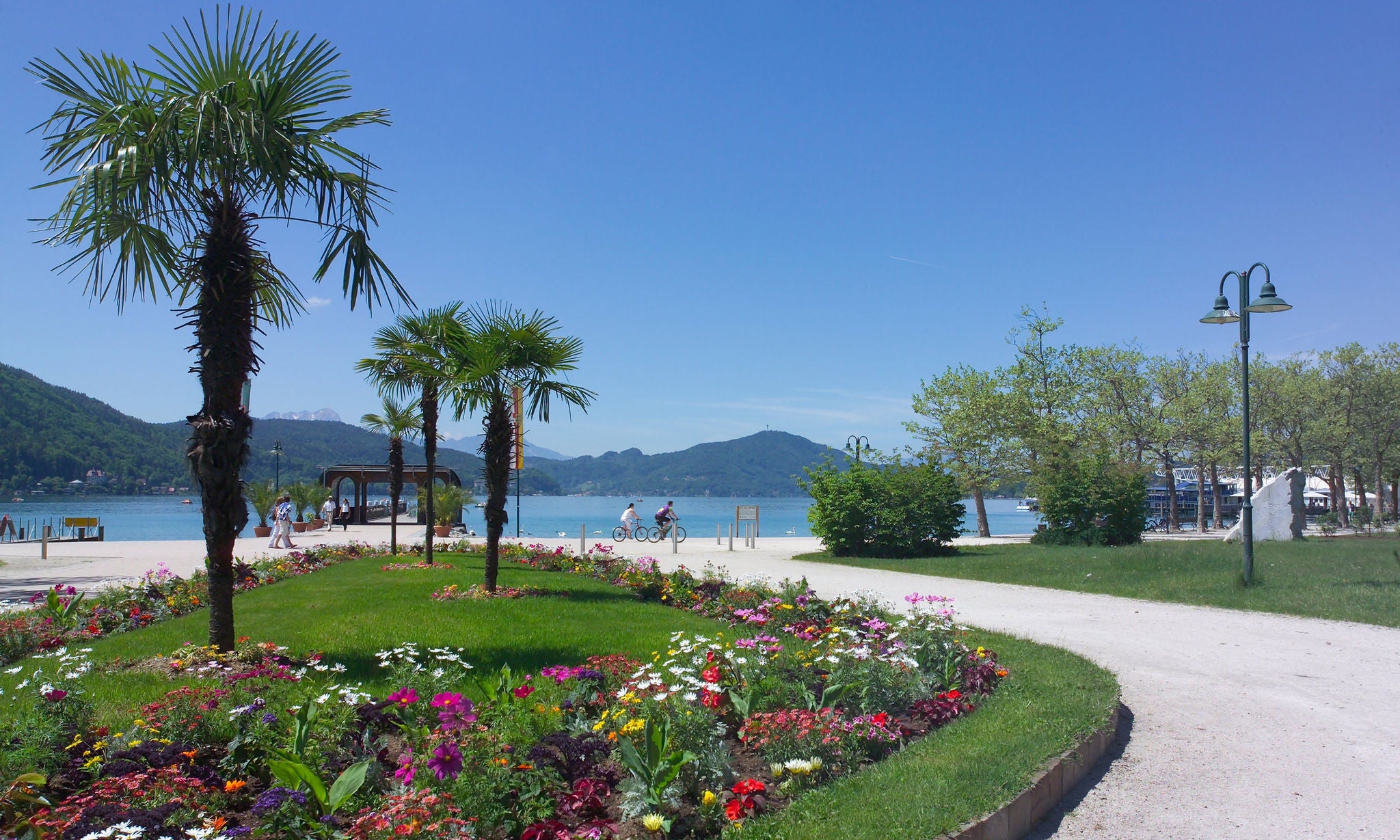 Uferpromenade am Wörthersee mit blühenden Blumen im Vordergrund